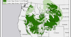 Montana Signs Cooperative State-Federal Sage Grouse Protection Plan