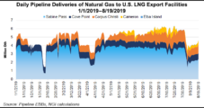 U.S. LNG Terminals Took Record Natural Gas Deliveries in July, Says EIA