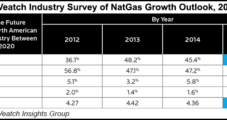 U.S. NatGas Industry’s ‘Exuberance’ Waned in 2015, Survey Says