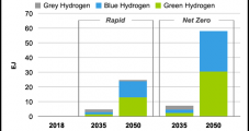 Energy Operators Eyeing Myriad Blue and Green Hydrogen Opportunities