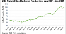 Despite Lower Demand, U.S. Natural Gas Market Expected to ‘Net Grow’