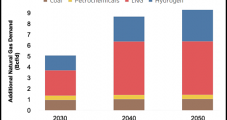 Canadian Natural Gas Demand Growth Said Coming from LNG Exports, Hydrogen Blends