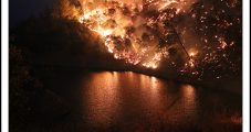 California Using Energy Reliability Options to Cut Wildfire Risks to Power Grid