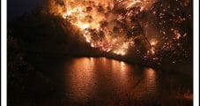 PG&E Proposing Broad California Wildfire Mitigation in Rate Hike Request