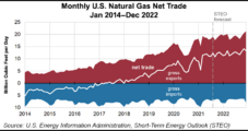 Demand for U.S. Natural Gas Exports to Surge Through 2021, EIA Says