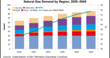 OPEC Sees Natural Gas Demand Growth Through 2045, but Outlook Tempered by Renewables