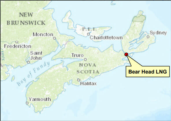 bear head map