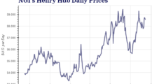 U.S. Natural Gas Price Volatility at All-Time High in 2022