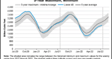 U.S. Natural Gas Storage Injections Below Average Amid ‘Chillier-than-Normal’ Winter Forecast