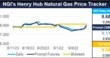 NGI’s LNG Insight Includes Key Henry Hub Indexes Amid Global Natural Gas Volatility