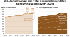 U.S. Power Sector Consumed Less Natural Gas in 2021, but Demand Seen Rebounding This Year
