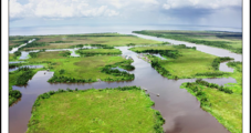ExxonMobil, CF Industries and EnLink Partner in ‘Unprecedented’ Effort to Cut Louisiana Carbon
