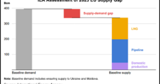 IEA Again Warns of EU Natural Gas Supply Shortfall Next Year