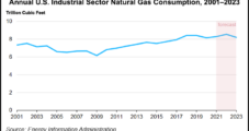Industrial Natural Gas Demand to Peak in 2022 Before Tapering, EIA Says