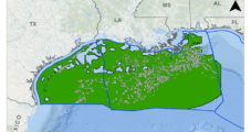 Chevron, Louisiana and API Using ‘Every Legal Tool’ to Challenge Smaller GOM Lease Sale