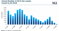 API, Energy Groups Call for Clarity on Federal Oil and Natural Gas Leasing Regulations