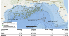 BOEM Postpones Offshore Oil and Gas Lease Sale 261 Amid Tussle over Rice’s Whale Impacts