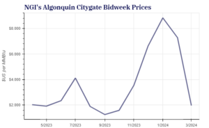 Algonquin bidweek snapshot
